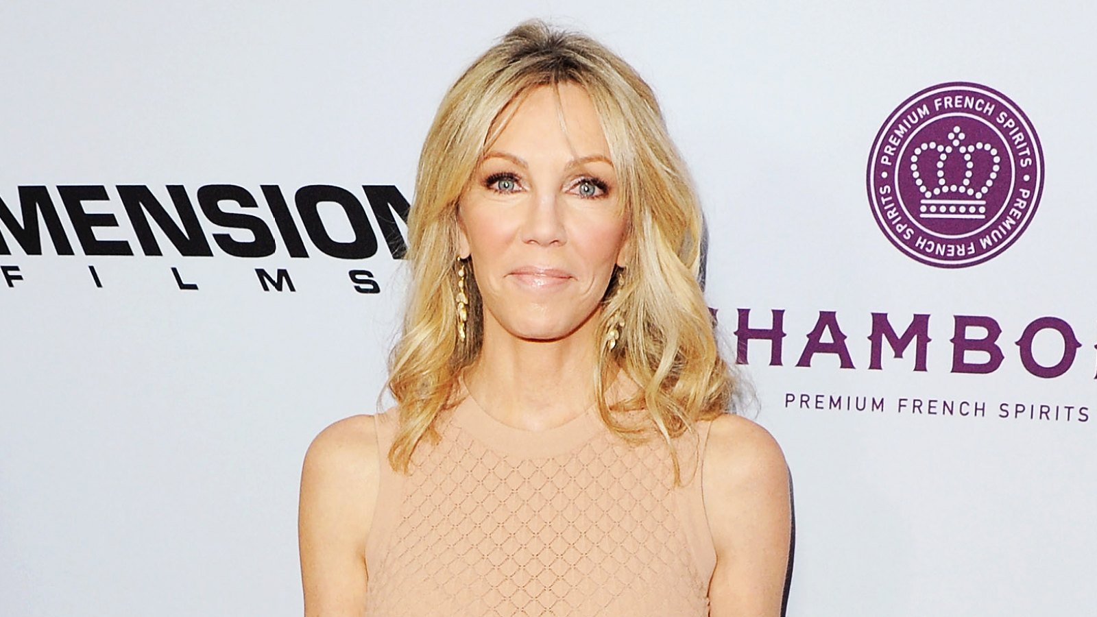 Heather Locklear in Dark Place Before Domestic Violence Arrest