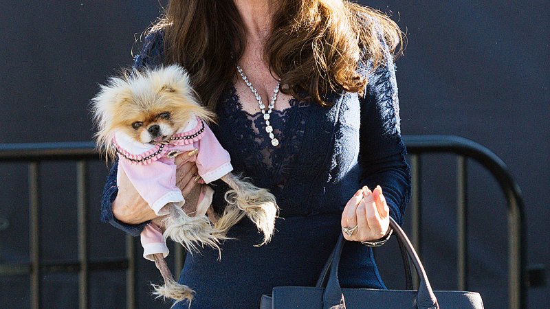 Life Isn't 'Ruff' for Reality TV Stars’ Most Popular Pets