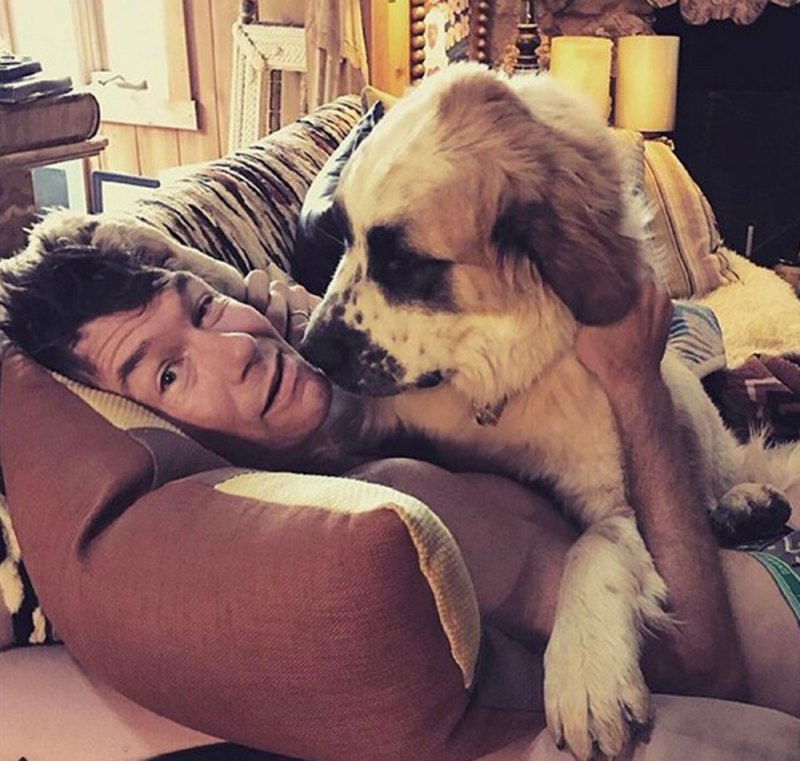 Jerry O'Connell Rebecca Romijn pets