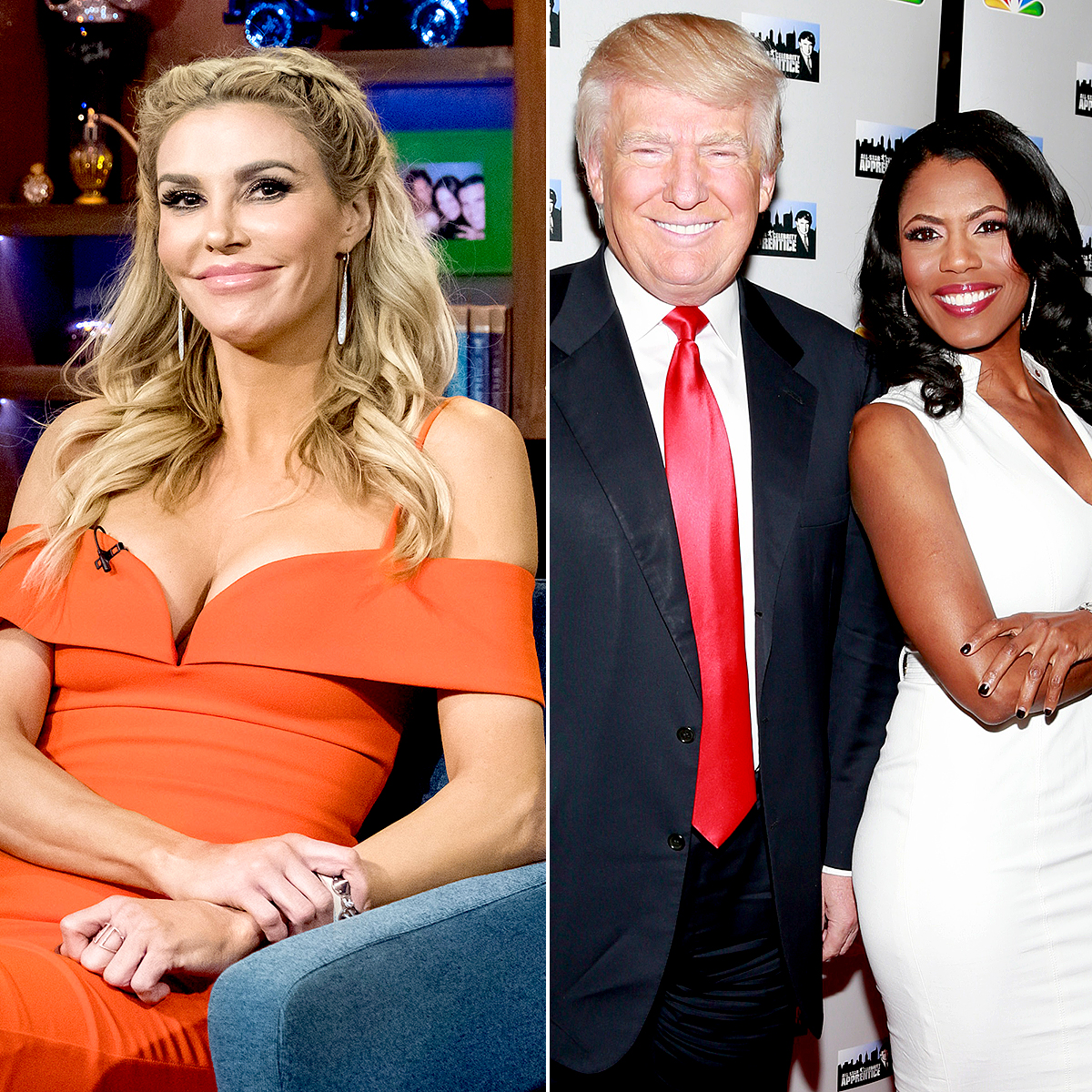 Brandi-Glanville-Convinced-Omarosa-Slept-With-Donald-Trump