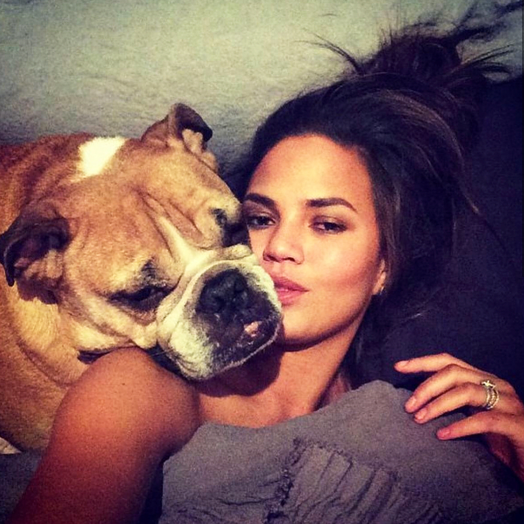 Chrissy Teigen and John Legend’s Beloved Dog Puddy Dies