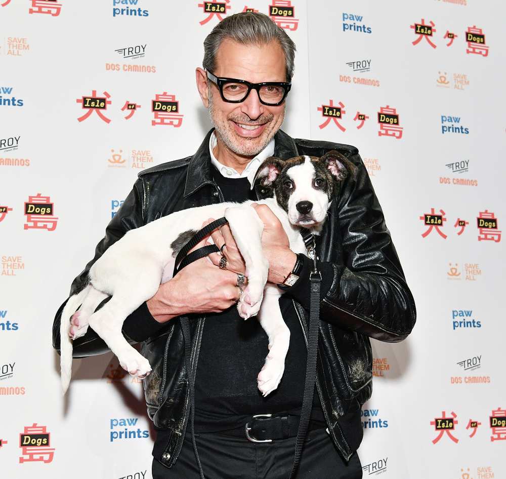 Jeff Goldblum Opens Up About Being an Older Dad