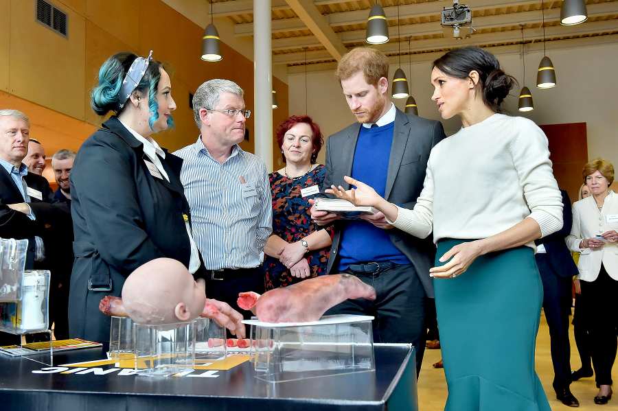 meghan-markle-prince-harry-ireland