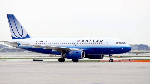 united-dog-death