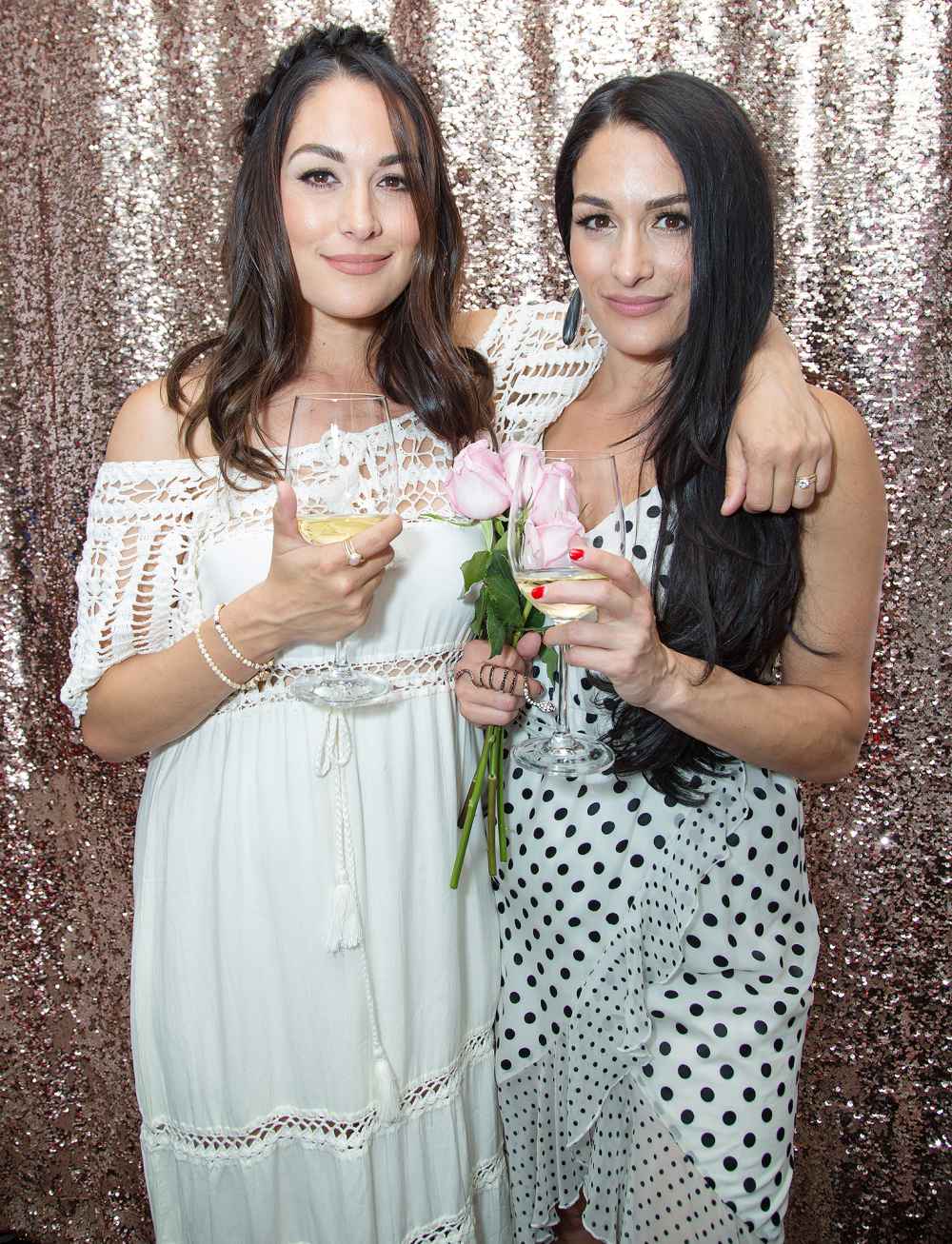 WWE Divas Brie Bella and Nikki Bella attend a photocall to promote
