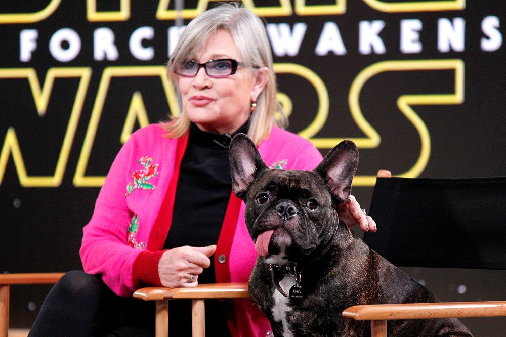 Carrie Fisher and her dog in 2015