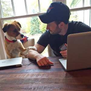 Chris Evans rescue dog