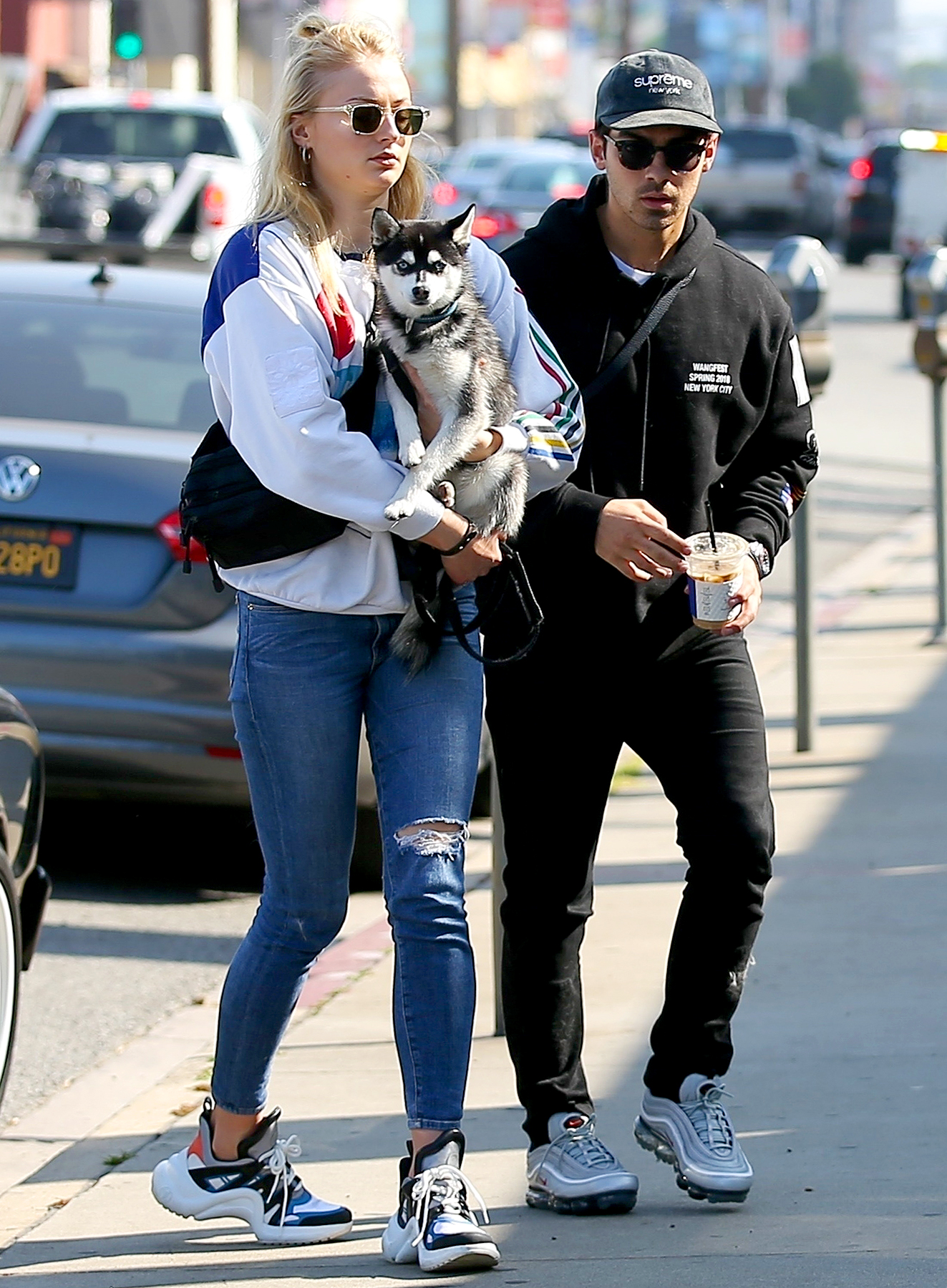 Joe-Jonas-and-Sophie-Turner-Adopt-Dog