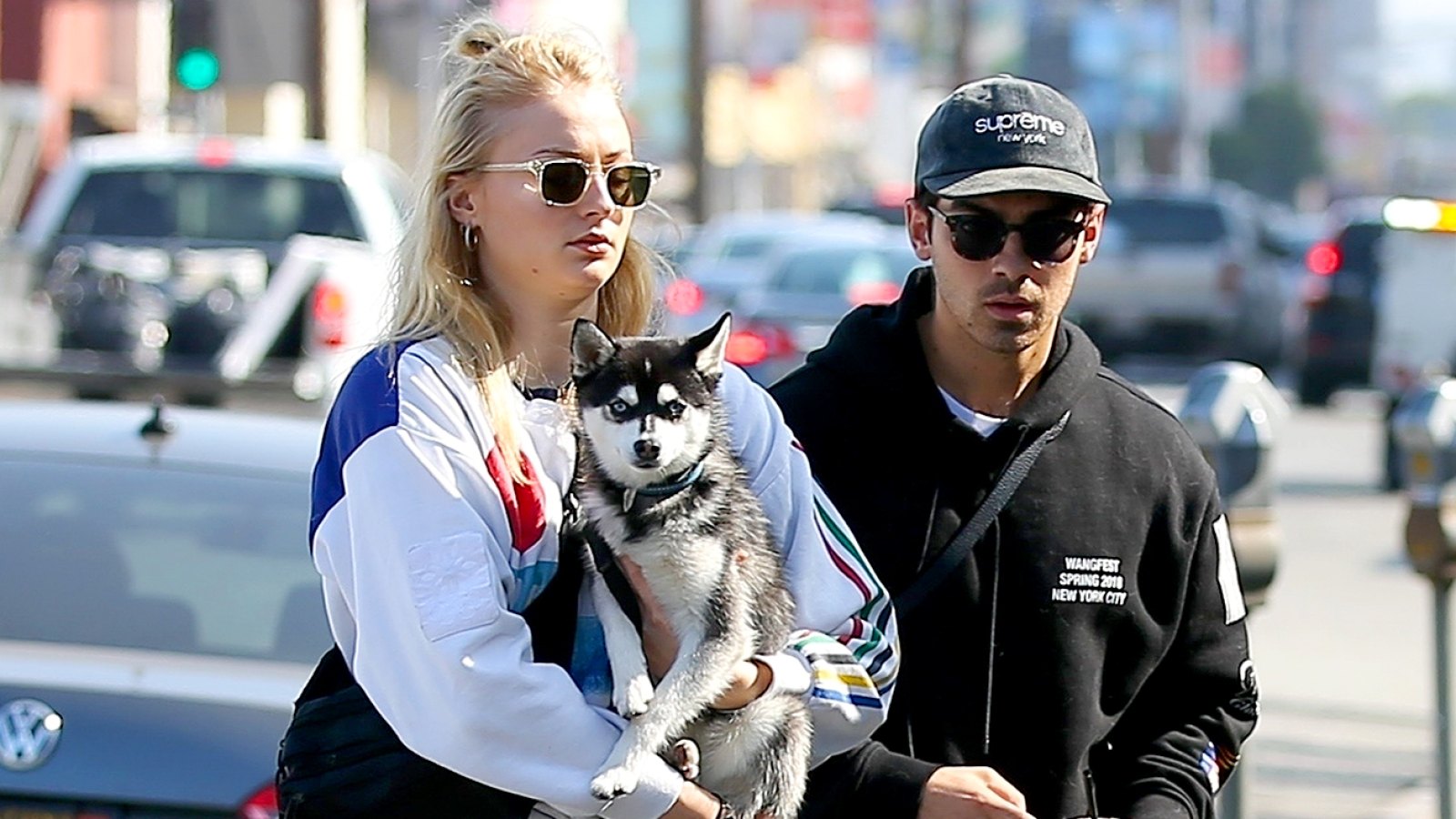 Joe-Jonas-and-Sophie-Turner-Adopt-Dog