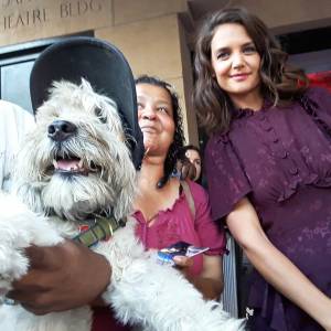 Shaggy celebrity selfie dog Katie Holmes