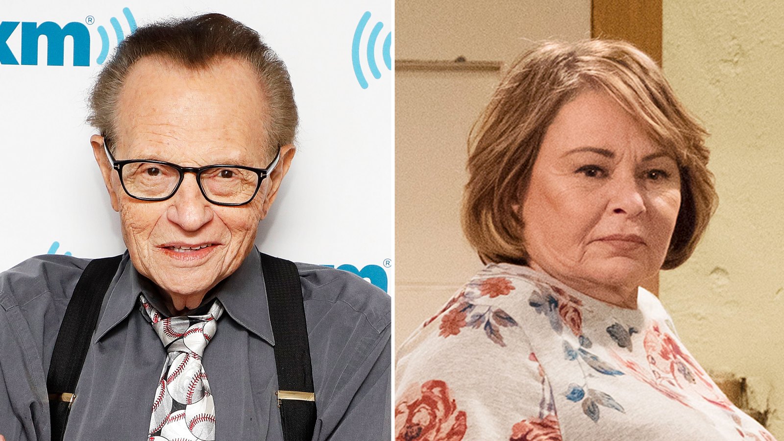 Larry King Thinks Roseanne Has Great Political Balance