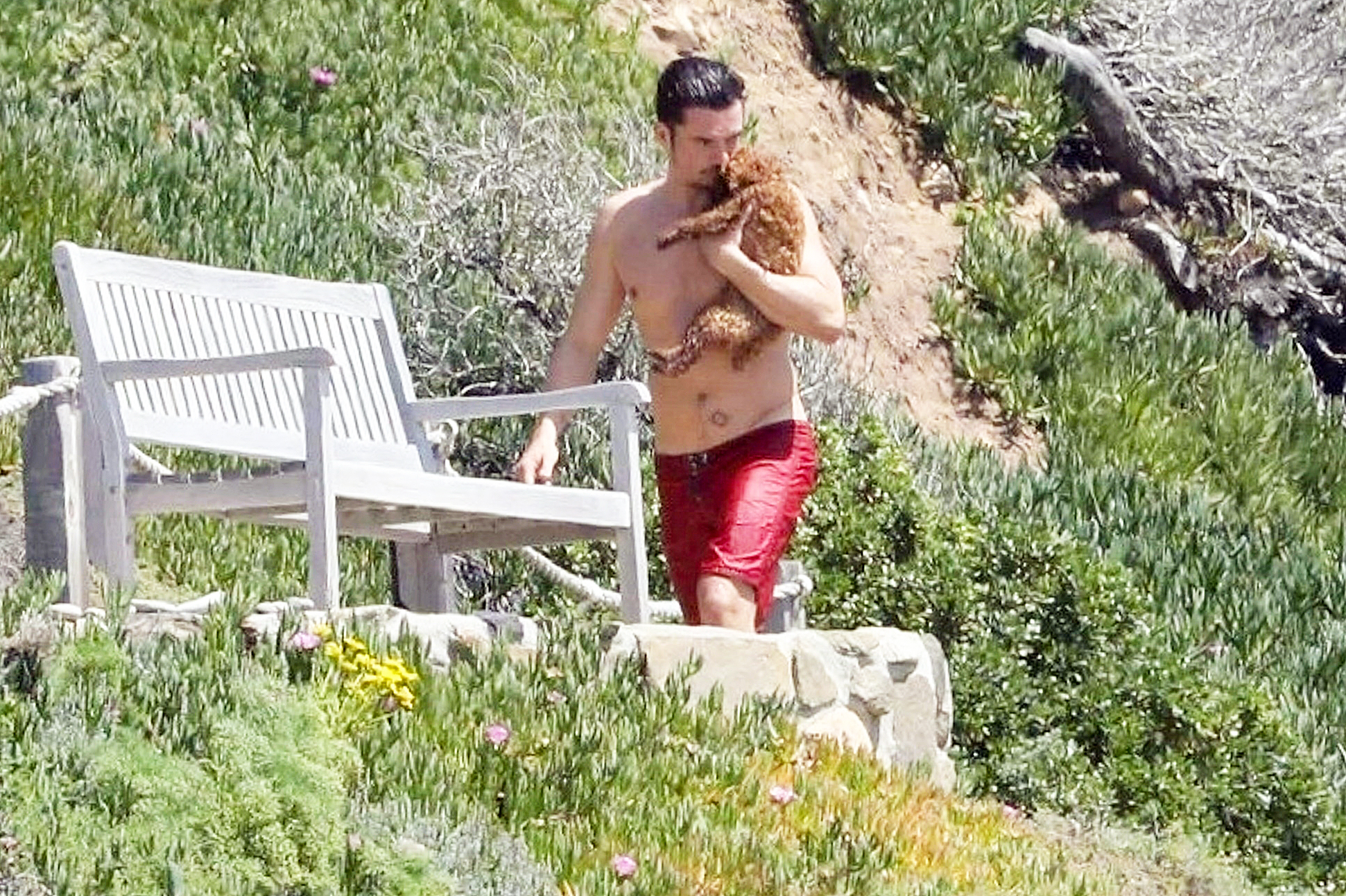 Orlando Bloom Shirtless Dog