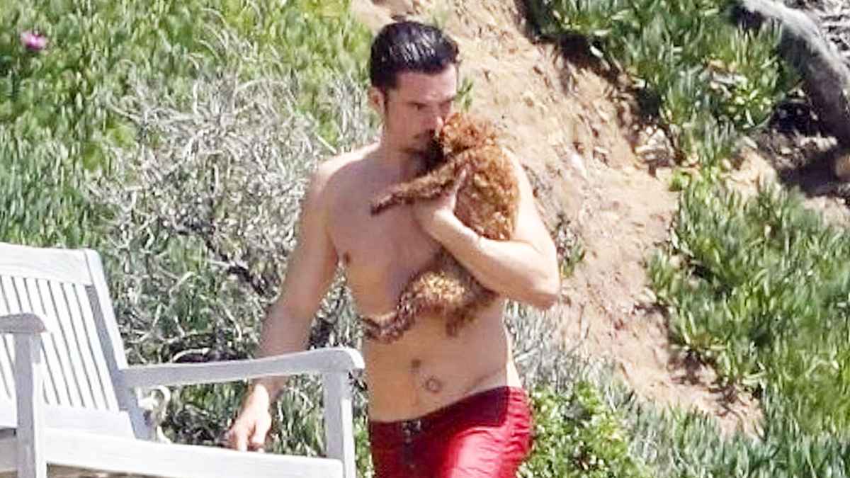 Orlando Bloom Shirtless Dog