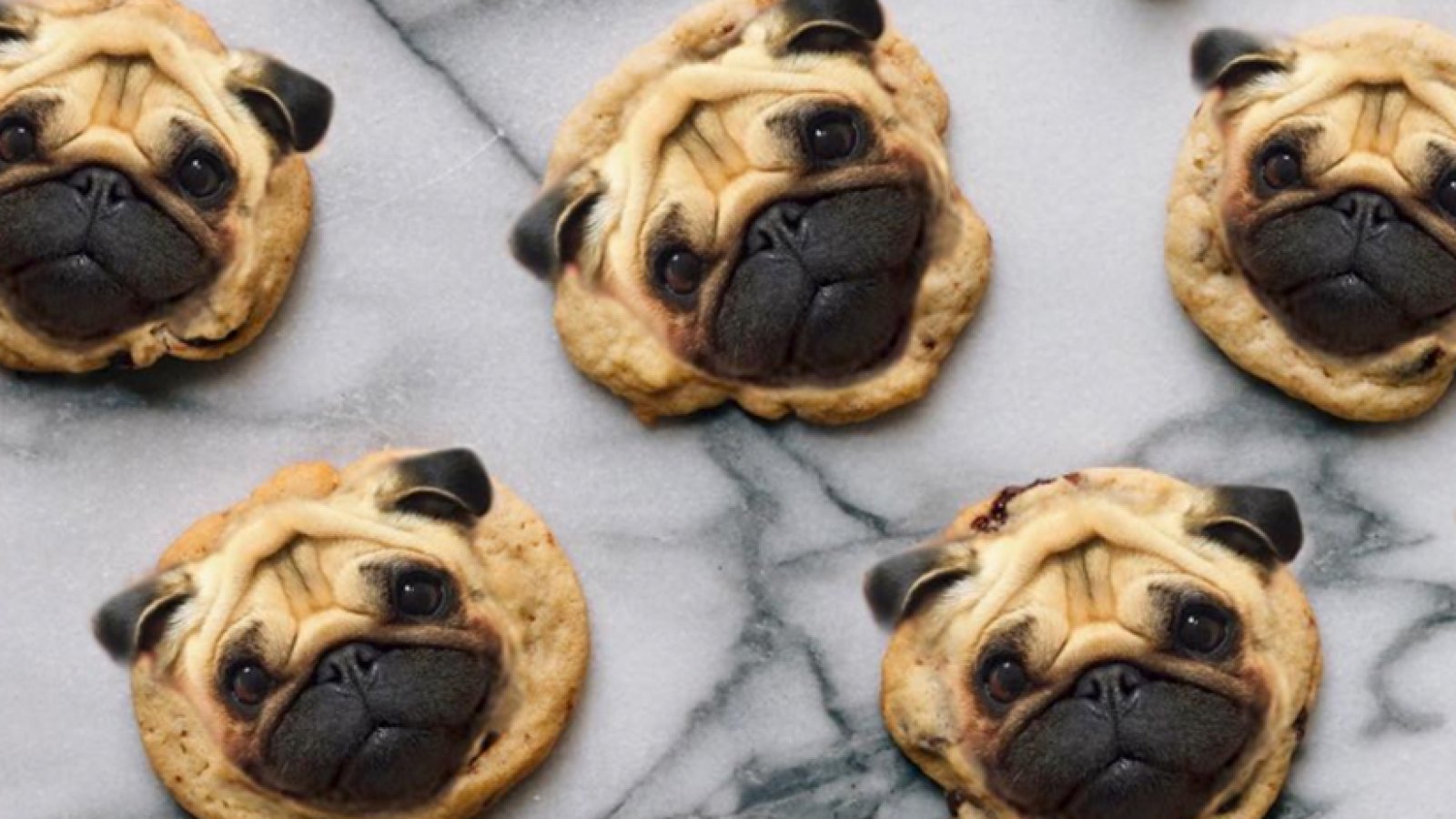 Levain Bakery pug cookies
