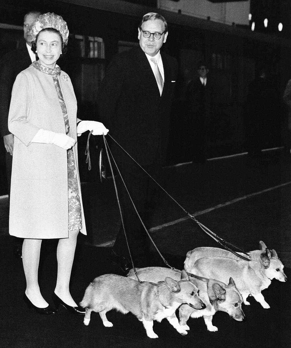 Queen Elizabeth Corgi Dies