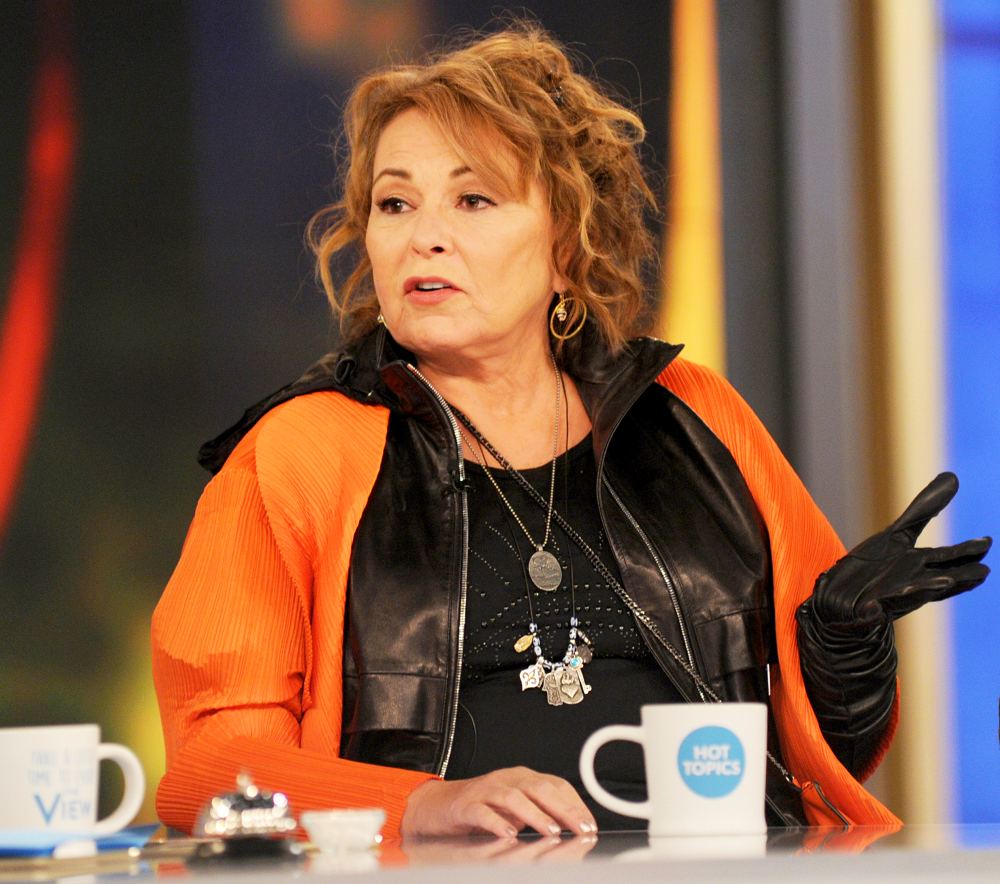 Roseanne Barr on ‘The View‘