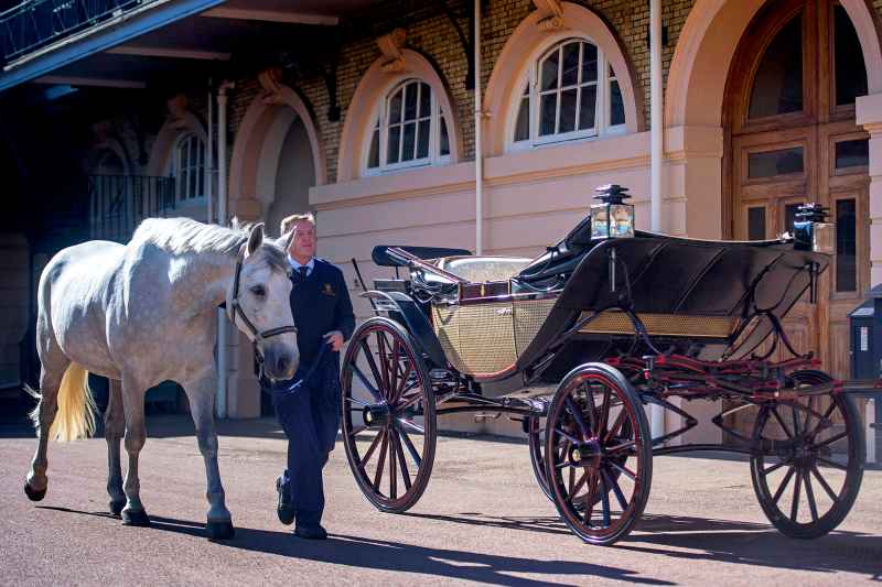 Prince Harry and Meghan Markle Philip Barnard Brown Royal Wedding Carriage