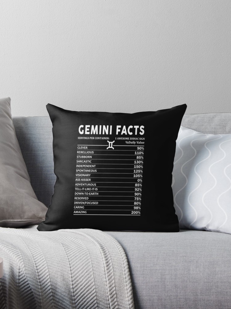 Gemini Facts Pillow
