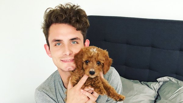James Kennedy puppy Graham