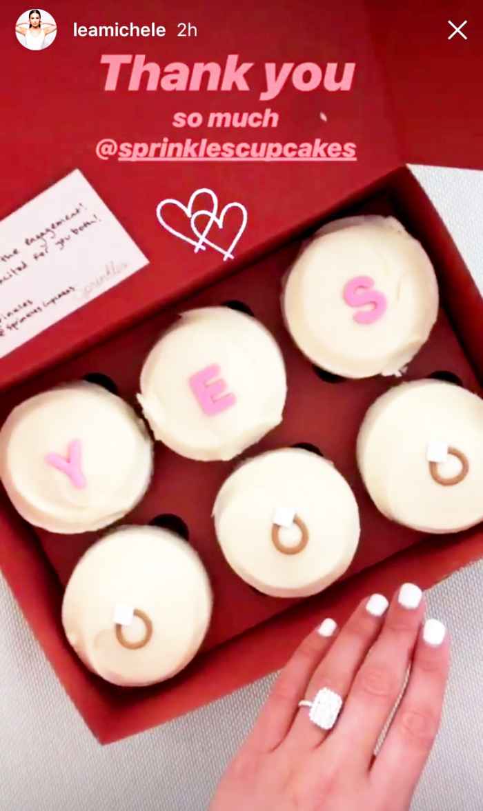 Lea Michele Cupcakes Instagram