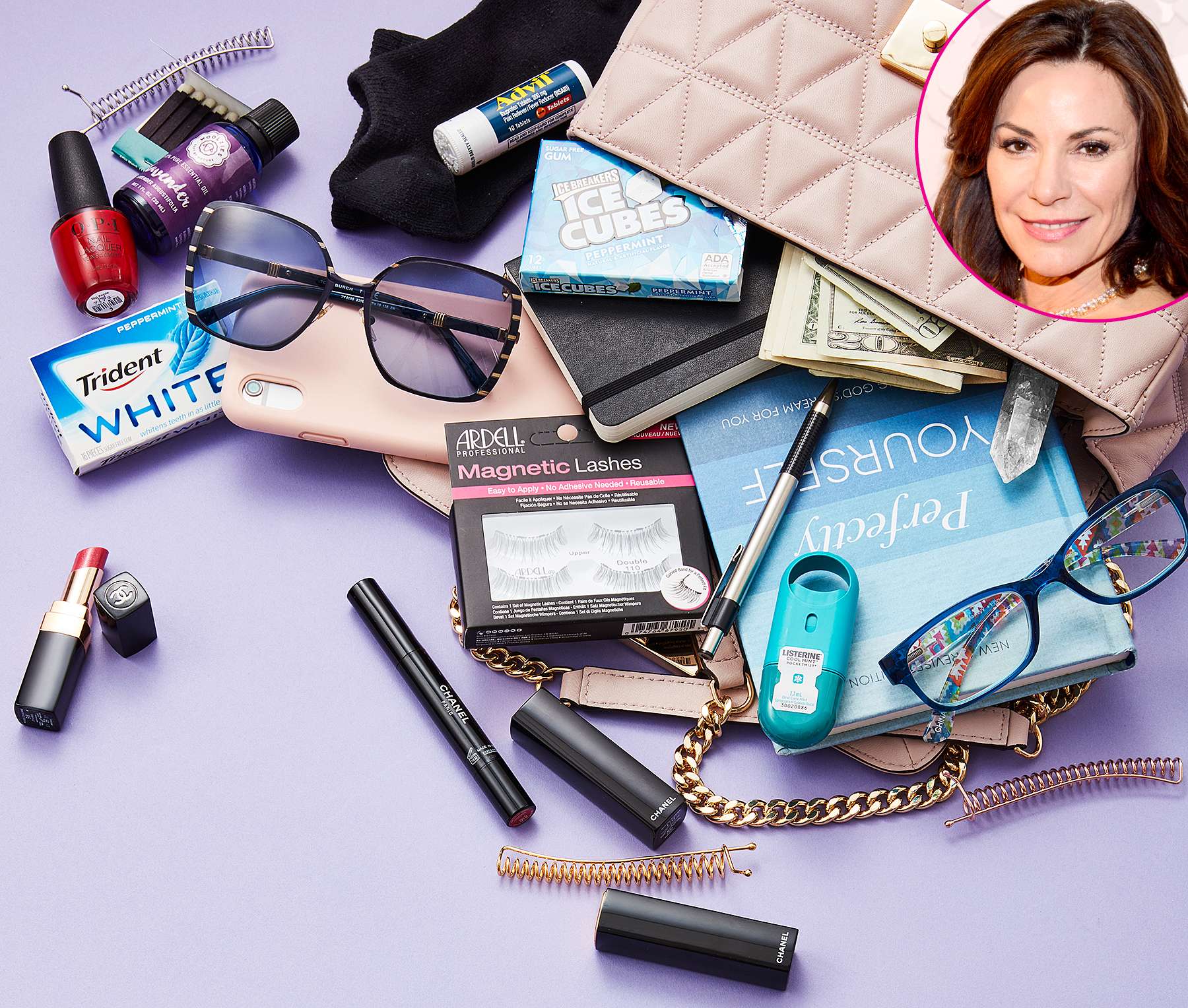 Luann-de-Lesseps--What's-in-My-Bag