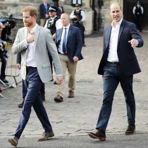 Prince Harry Prince William Greet Well Wishers Outside Windsor