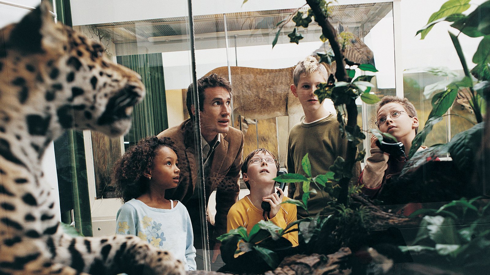 Male Teacher and Primary School Students in a Museum Looking at Animal Models in a Vitrine