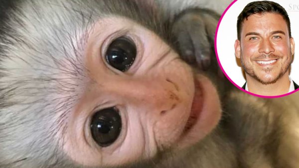 Jax-Taylor-monkey
