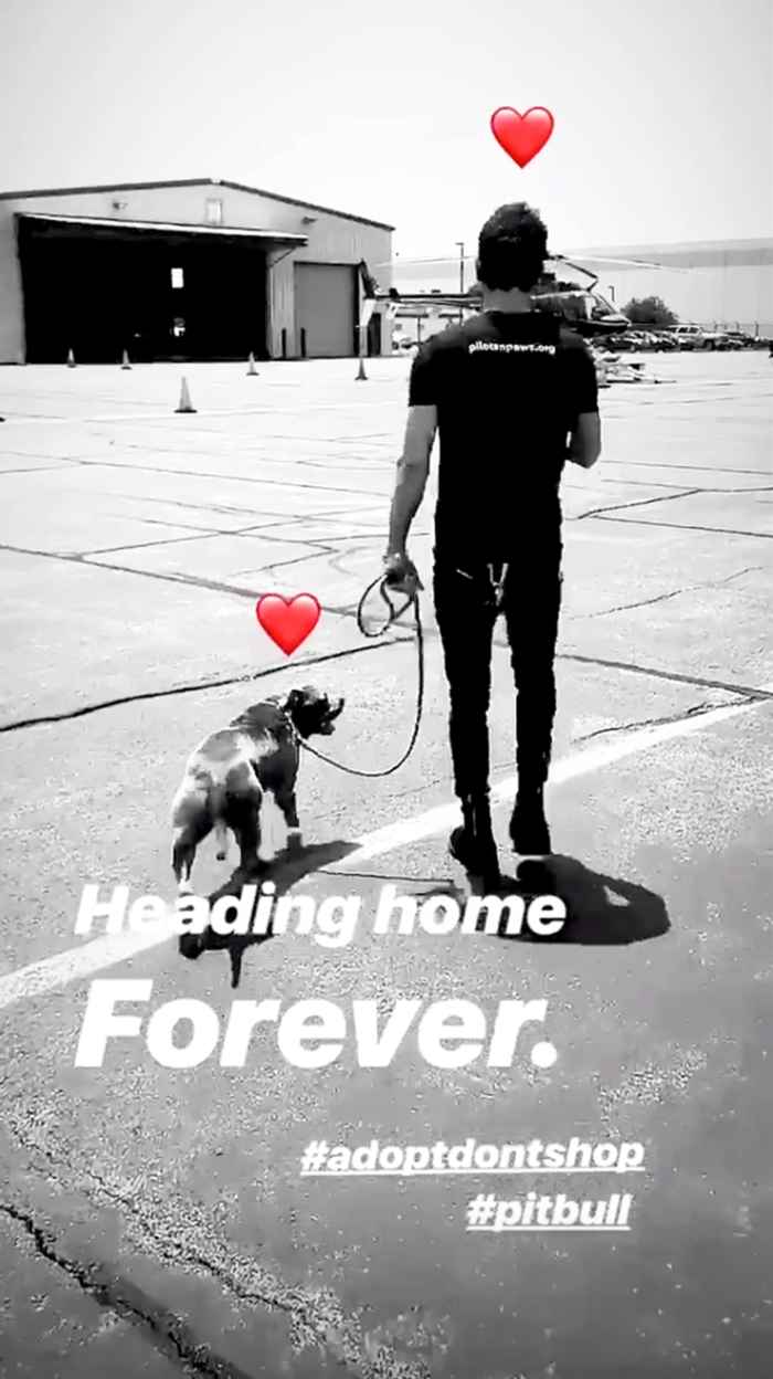 Justin Theroux and Kuma Instagram Story