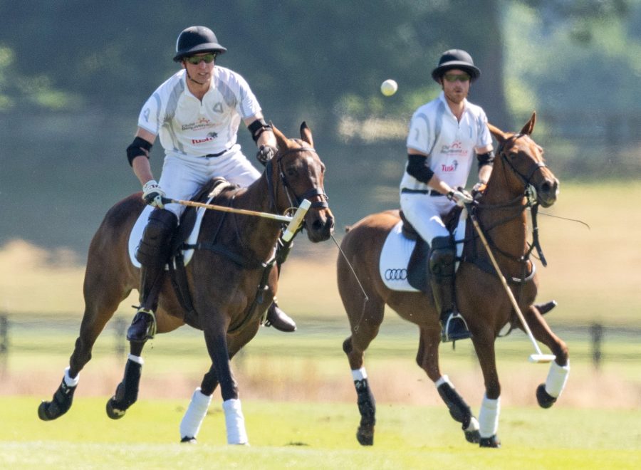 Prince William, Prince Harry, Audi Polo Challenge Day 1, Coworth Park Polo Club, Ascot, England