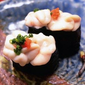Shirako