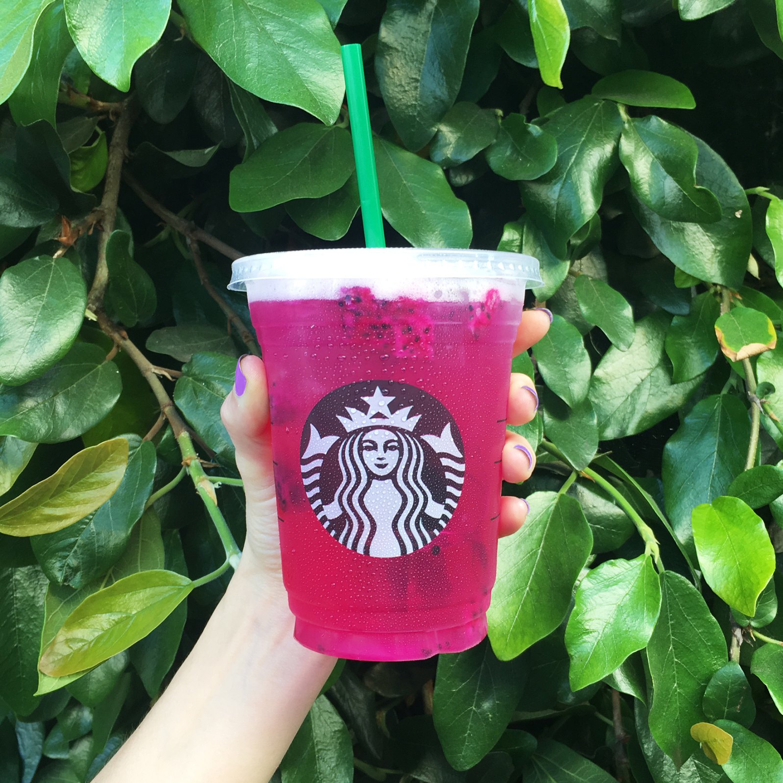 Starbucks-Mango-Dragonfruit-Refresher
