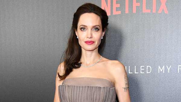 Angelina Jolie Brad Pitt Custody Documents Leak