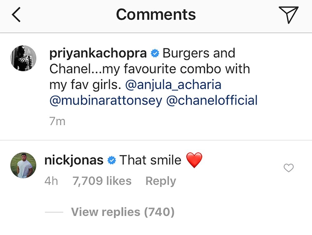 Priyanka Chopra, Nick Jonas, Dating Rumors, Instagram Comments