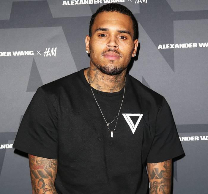 Chris Brown attends the 2014 Alexander Wang x H&M Pre-Shop Party at H&M in West Hollywood, California.