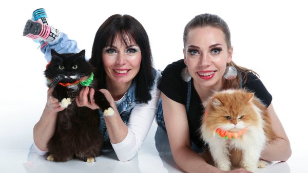 Savitsky Cats
