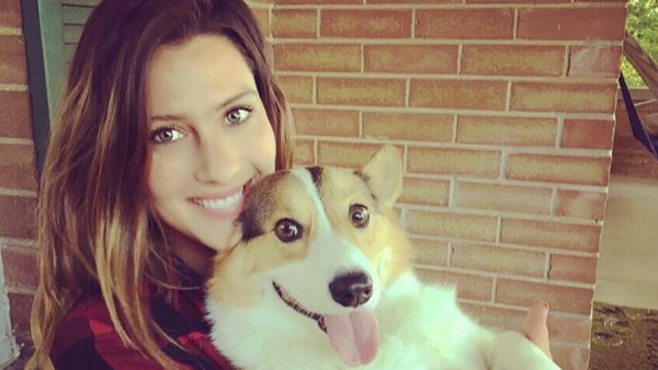 becca-kufrin-corgi