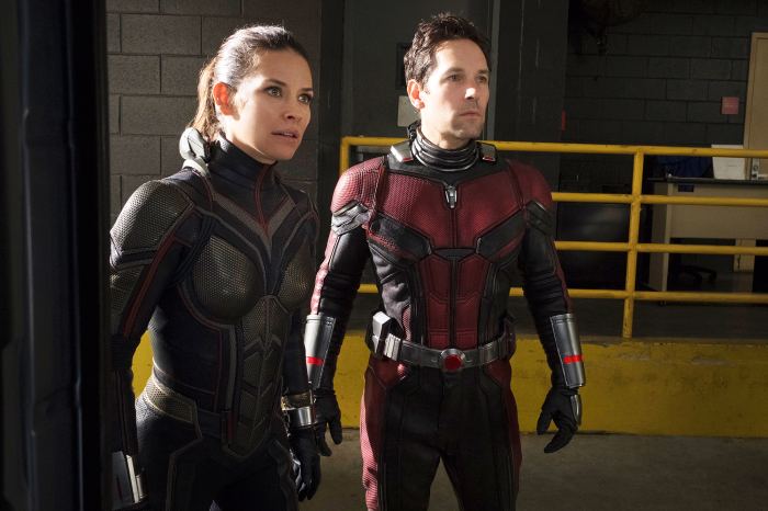 Evangeline Lily Paul Rudd Ant-Man and the Wasp