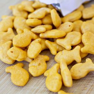 Goldfish Crackers recall