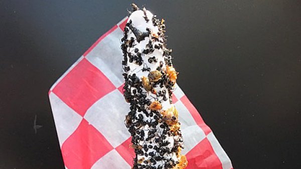 Food Stand in Wisconsin Serves Ants on a Stick With Real Bugs and Twitter Is Divided