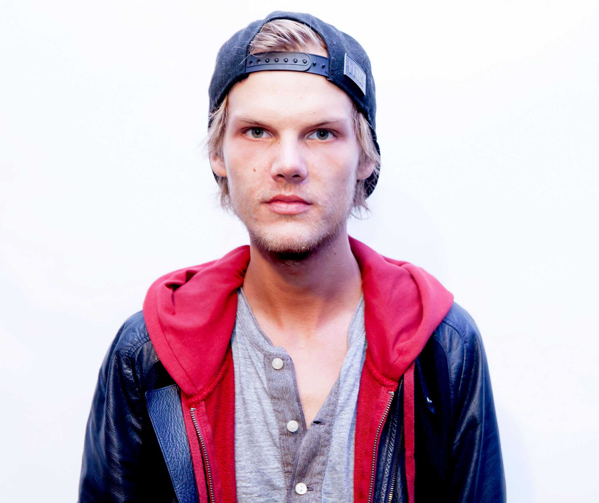 Avicii visual data 2