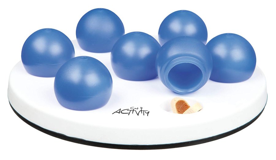 pet summer essentials