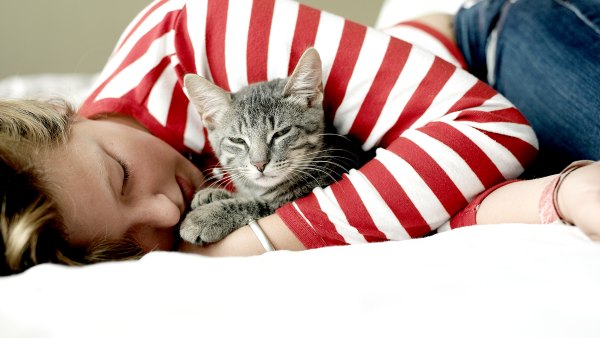 cuddly-cat