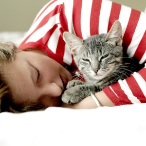 cuddly-cat