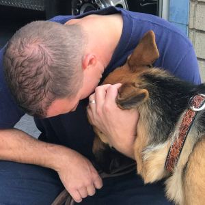 Mendo rescue dog