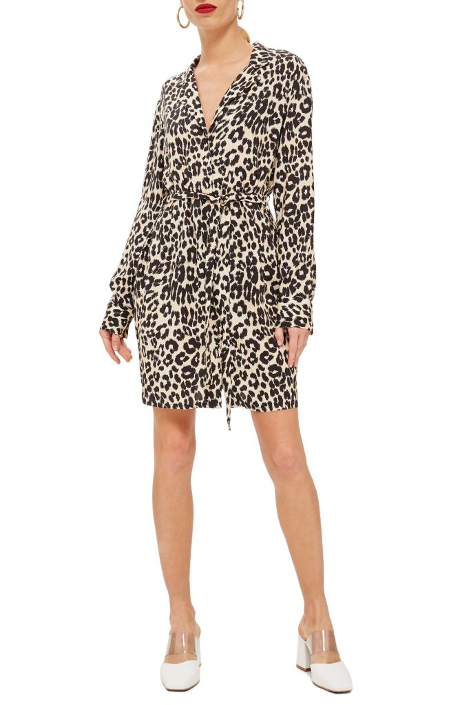 Take a Walk on the Wild Side With This Topshop Leopard Print Dress