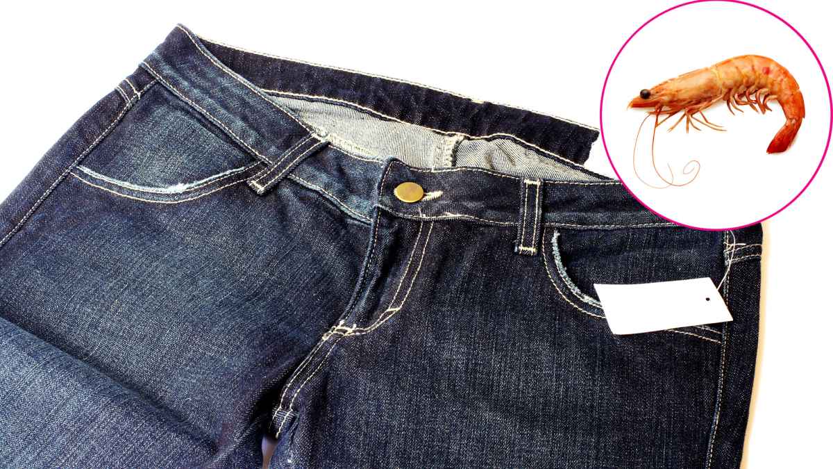 madewell sustainable jeans shrimp shells