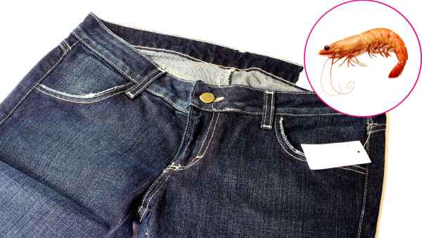 madewell sustainable jeans shrimp shells