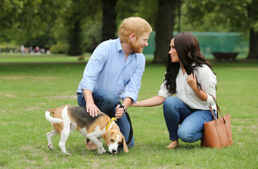 Prince Harry Meghan Markle Living wax figures
