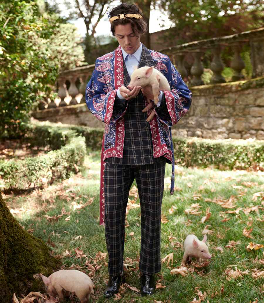 Harry Styles for Gucci